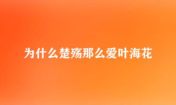 为什么楚殇那么爱叶海花