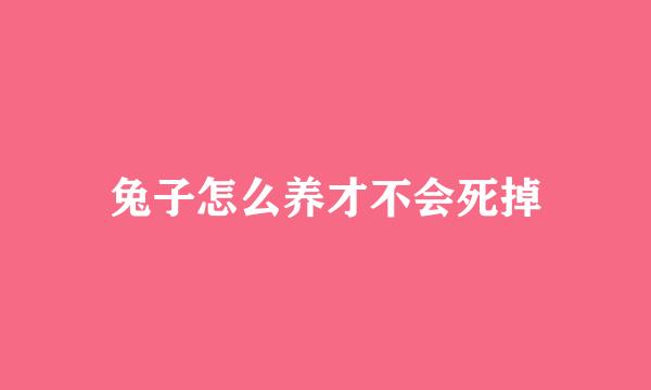 兔子怎么养才不会死掉