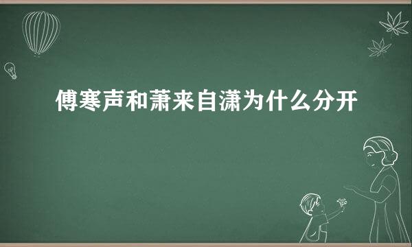 傅寒声和萧来自潇为什么分开