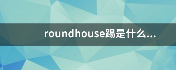 roundhouse踢是什么东西