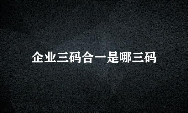 企业三码合一是哪三码