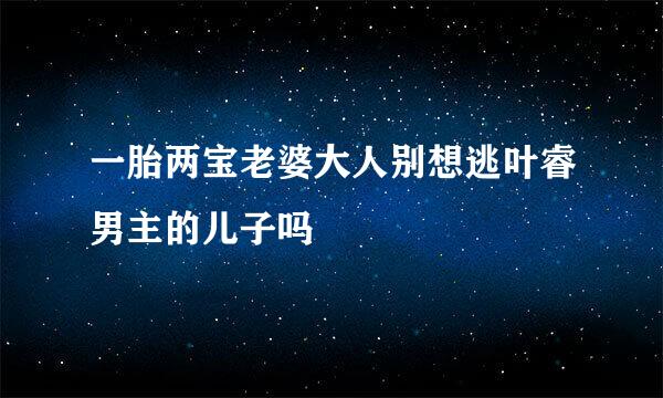 一胎两宝老婆大人别想逃叶睿男主的儿子吗