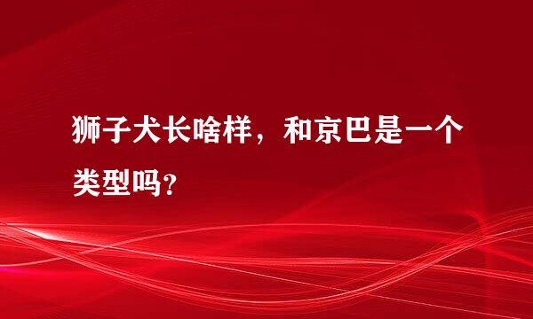 狮子犬长啥样，和京巴是一个类型吗？