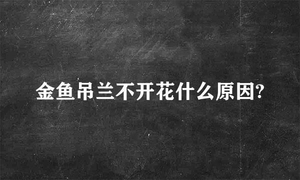 金鱼吊兰不开花什么原因?