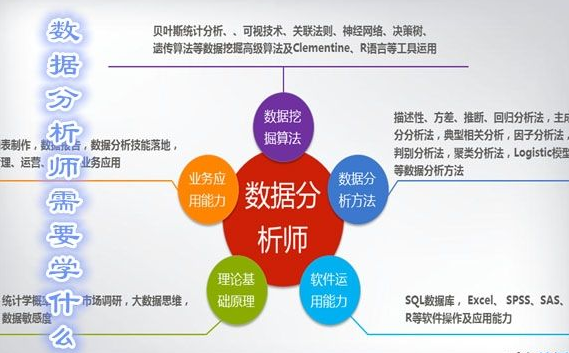 金融数据分来自析师是干什么的?