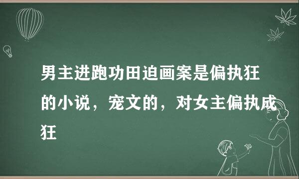 男主进跑功田迫画案是偏执狂的小说，宠文的，对女主偏执成狂