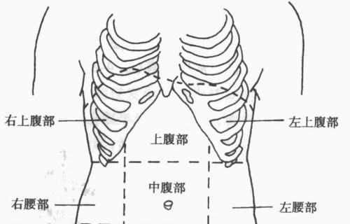 左右季肋部在人体什么部位