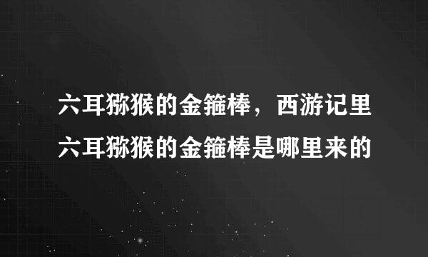 六耳猕猴的金箍棒，西游记里六耳猕猴的金箍棒是哪里来的