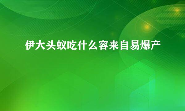 伊大头蚁吃什么容来自易爆产