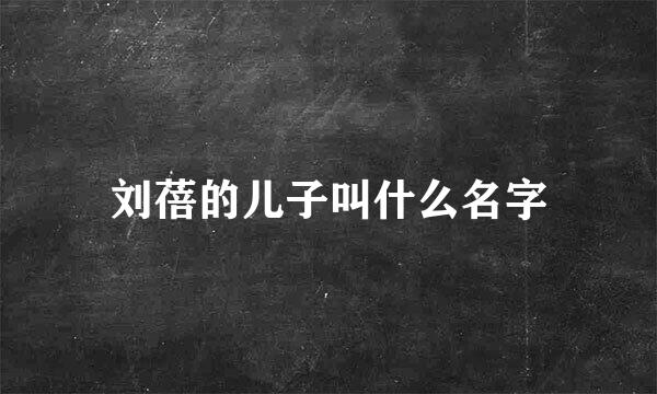 刘蓓的儿子叫什么名字