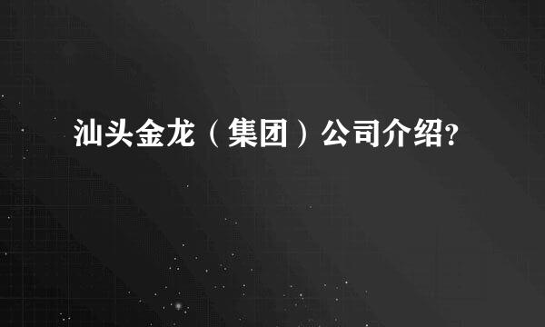 汕头金龙（集团）公司介绍？