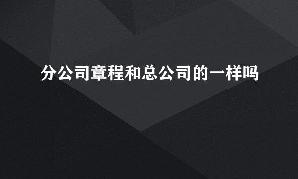 分公司章程和总公司的一样吗