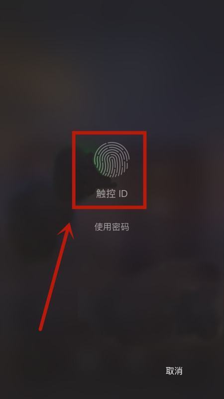 无法在此iphone上激活触控id