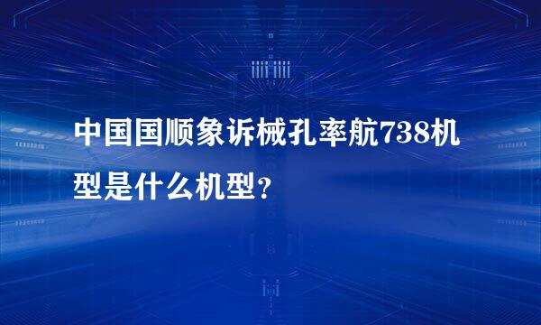 中国国顺象诉械孔率航738机型是什么机型？