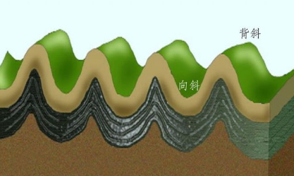 向斜和背斜的区别是什么？