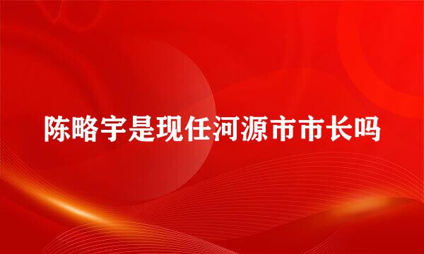 陈略宇是现任河源市市长吗