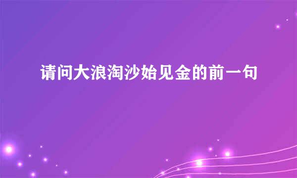 请问大浪淘沙始见金的前一句