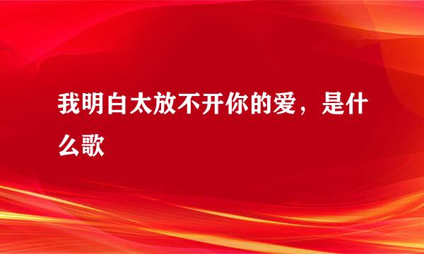 我明白太放不开你的爱，是什么歌