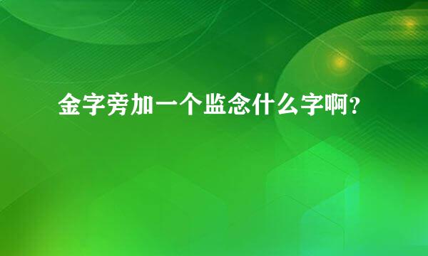 金字旁加一个监念什么字啊？