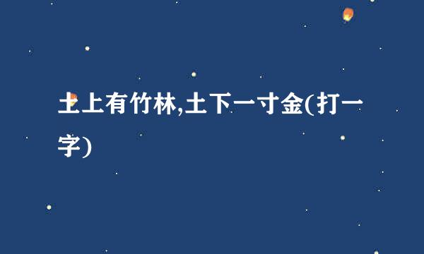 土上有竹林,土下一寸金(打一字)