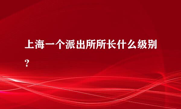 上海一个派出所所长什么级别？