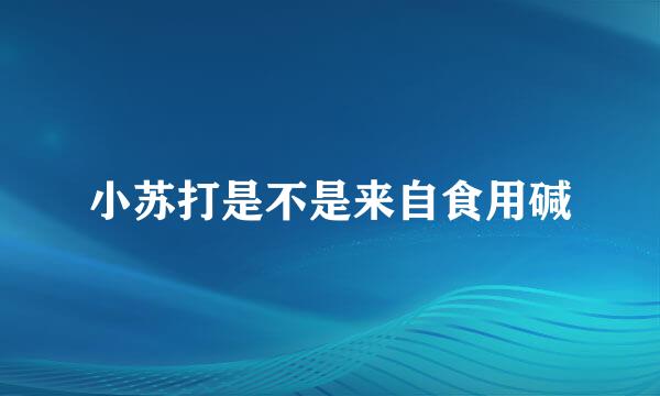 小苏打是不是来自食用碱