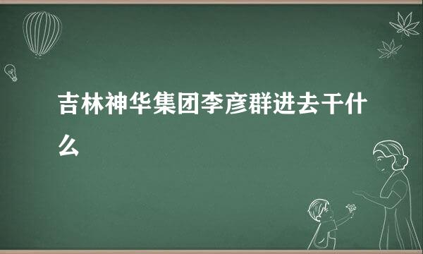 吉林神华集团李彦群进去干什么