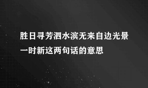 胜日寻芳泗水滨无来自边光景一时新这两句话的意思