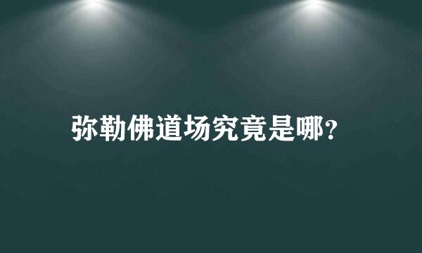 弥勒佛道场究竟是哪？