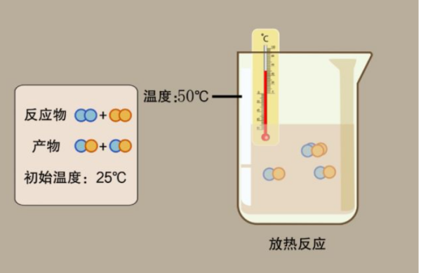 化合反应和分解反应的区别是来自什么?