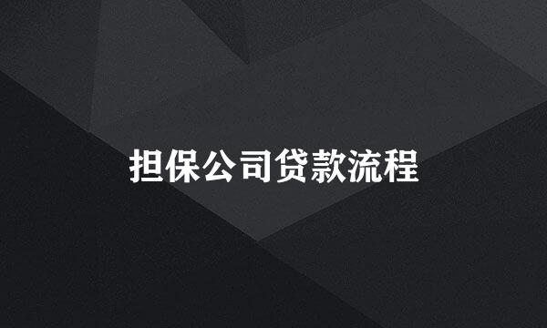 担保公司贷款流程