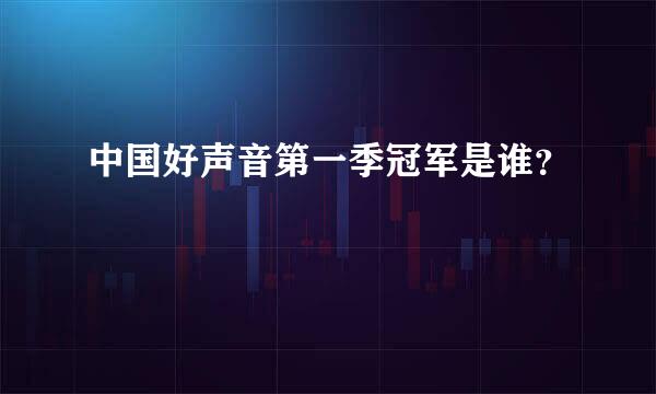 中国好声音第一季冠军是谁？