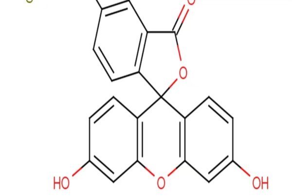 fitc荧光标记原理