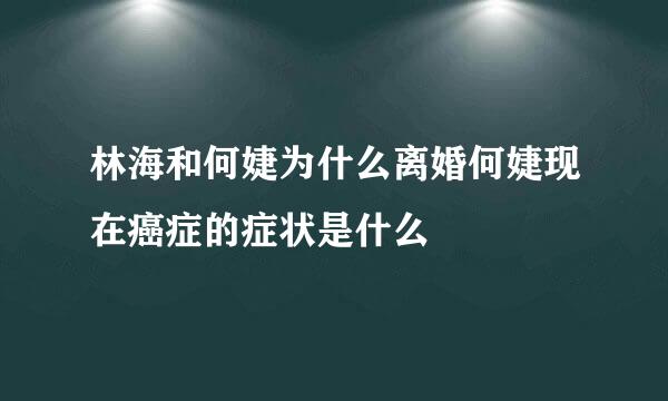 林海和何婕为什么离婚何婕现在癌症的症状是什么