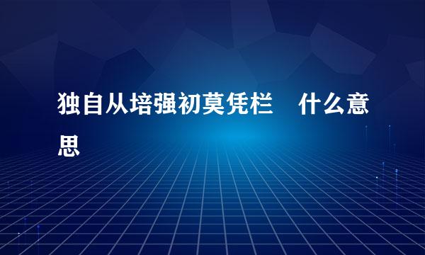 独自从培强初莫凭栏 什么意思