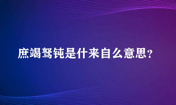 庶竭驽钝是什来自么意思？