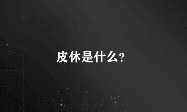 皮休是什么？