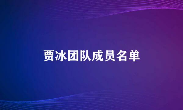 贾冰团队成员名单