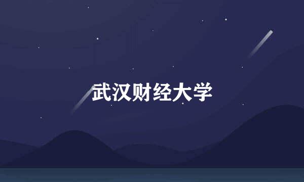 武汉财经大学