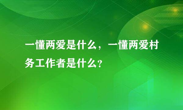 一懂两爱是什么，一懂两爱村务工作者是什么？