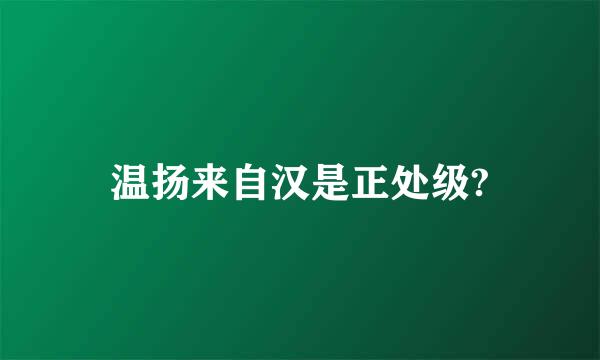 温扬来自汉是正处级?