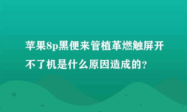 苹果8p黑便来管植革燃触屏开不了机是什么原因造成的？