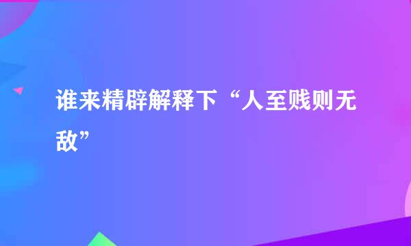 谁来精辟解释下“人至贱则无敌”