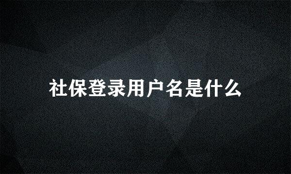 社保登录用户名是什么