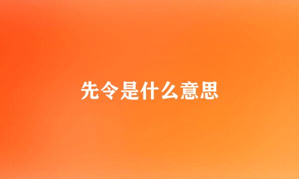 先令是什么意思