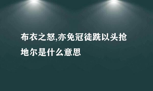 布衣之怒,亦免冠徒跣以头抢地尔是什么意思