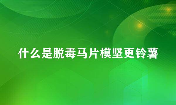 什么是脱毒马片模坚更铃薯