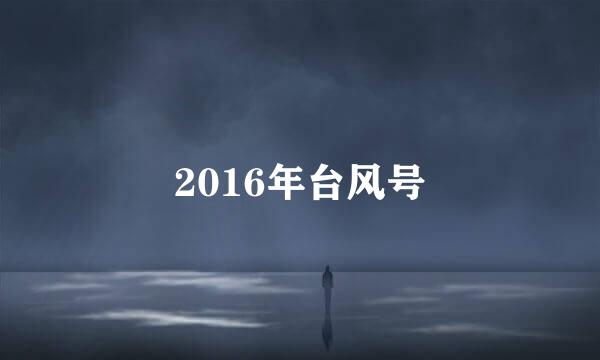 2016年台风号