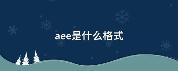 aee是什么格式