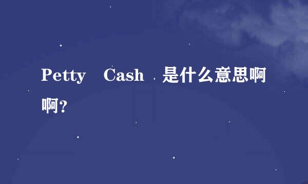 Petty Cash 是什么意思啊啊？